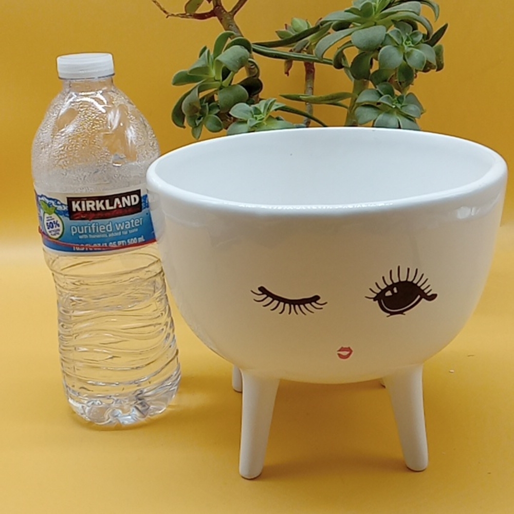 Ceramic Planter - Picture 9 of 9